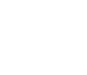 TURKISH AIRLINES LOGO